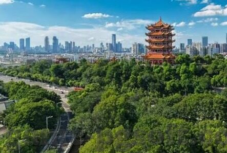 90比分网足球比分即时比分-揭秘90比分网，足球迷的即时比分神器与深度数据分析宝库